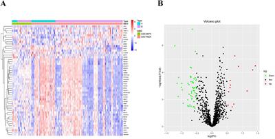 Identifying biomarkers of endoplasmic reticulum stress and analyzing immune cell infiltration in chronic obstructive pulmonary disease using machine learning